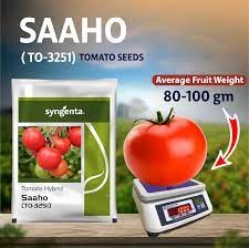 Buygo | Sahoo Tomato Seeds [TO-3251]