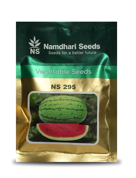 Buygo | NS 295 F1 Hybrid Watermelon Seeds, Rind Type Light Green Rind With  Dark Green Strips