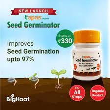 Buygo | Tapas Seed Germinator