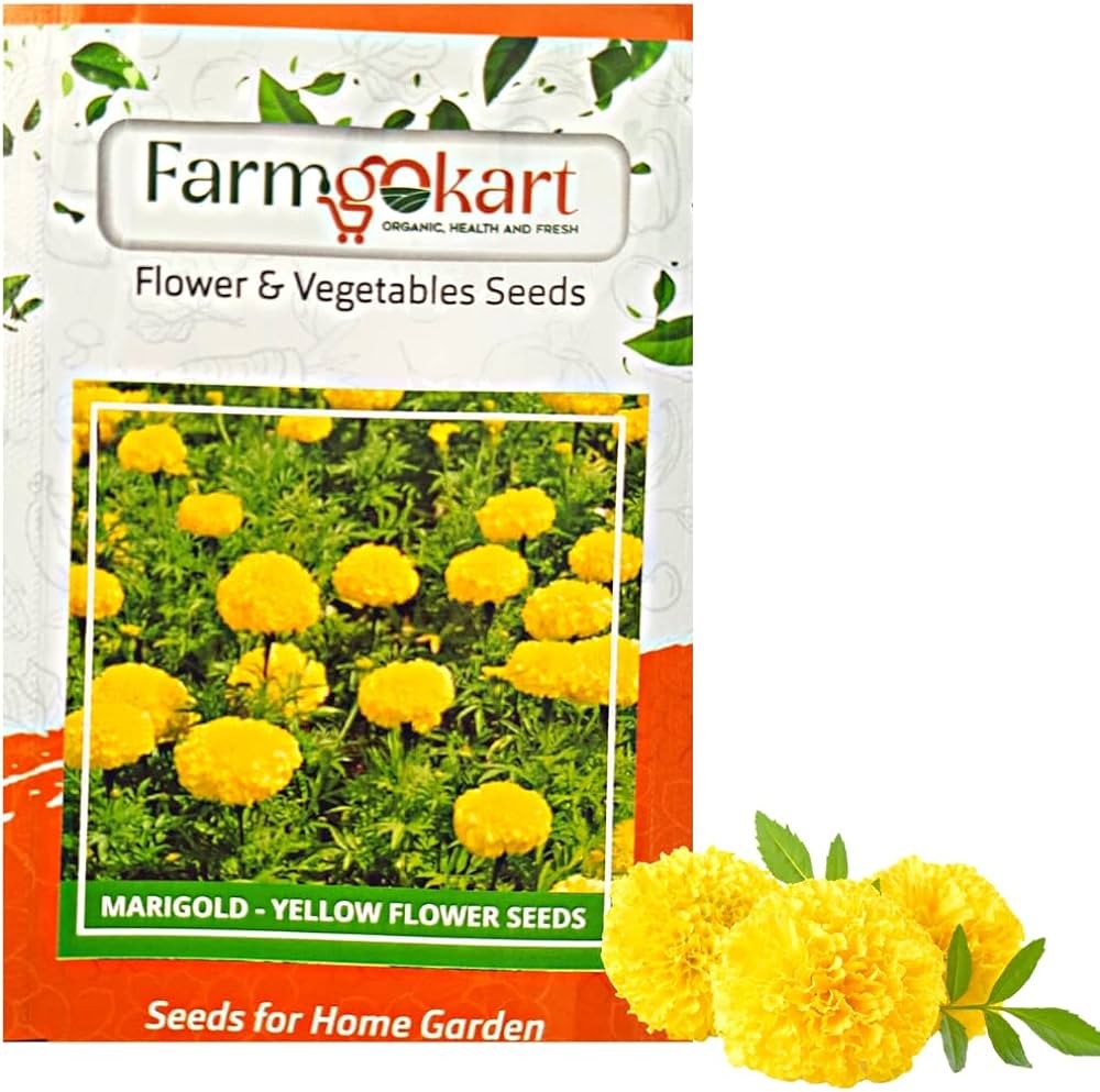 Buygo | Marigold Yellow Flower Seeds