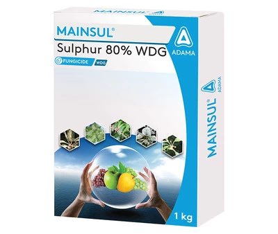 MAINSUL SULPHUR  80% WDG